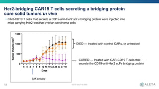 OCTS July 7-9, 2020
Her2-bridging CAR19 T cells secreting a bridging protein
cure solid tumors in vivo
• CAR-CD19 T cells that secrete a CD19-anti-Her2 scFv bridging protein were injected into
mice carrying Her2-positive ovarian carcinoma cells
18
DIED --- treated with control CARs, or untreated
CURED --- treated with CAR-CD19 T cells that
secrete the CD19-anti-Her2 scFv bridging protein
 