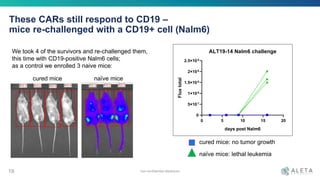 These CARs still respond to CD19 –
mice re-challenged with a CD19+ cell (Nalm6)
19
We took 4 of the survivors and re-challenged them,
this time with CD19-positive Nalm6 cells;
as a control we enrolled 3 naive mice:
0 5 10 15 20
0
5×107
1×108
1.5×108
2×108
2.5×108
ALT19-14 Nalm6 challenge
days post Nalm6
Fluxtotal
non-confidential disclosure
cured mice naïve mice
cured mice: no tumor growth
naïve mice: lethal leukemia
 