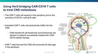 Using Her2-bridging CAR-CD19 T cells
to treat CNS metastases
• The CAR T cells will expand in the periphery due to the
provision of CD19+ normal B cells
• Activated CAR T cells will productively traffic into the
CNS
‣ CNS-resident B cell leukemias and lymphomas are
cleared in patients successfully treated with CAR-
CD19 cellular therapy
• CAR T cells that exit the CNS will encounter B cells again
in the periphery
22 OCTS July 7-9, 2020
 