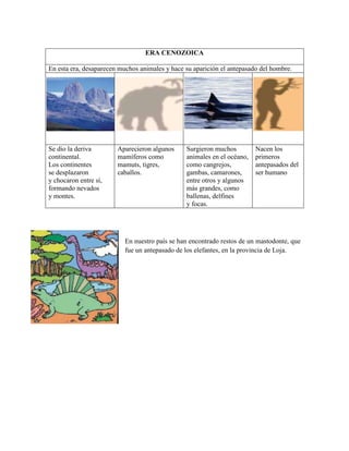ERA CENOZOICA

En esta era, desaparecen muchos animales y hace su aparición el antepasado del hombre.




Se dio la deriva        Aparecieron algunos     Surgieron muchos         Nacen los
continental.            mamíferos como          animales en el océano,   primeros
Los continentes         mamuts, tigres,         como cangrejos,          antepasados del
se desplazaron          caballos.               gambas, camarones,       ser humano
y chocaron entre sí,                            entre otros y algunos
formando nevados                                más grandes, como
y montes.                                       ballenas, delfines
                                                y focas.




                           En nuestro país se han encontrado restos de un mastodonte, que
                           fue un antepasado de los elefantes, en la provincia de Loja.
 