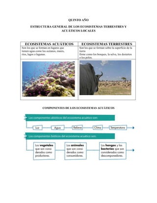 QUINTO AÑO

       ESTRUCTURA GENERAL DE LOS ECOSISTEMAS TERRESTRES Y
                      ACUÁTICOS LOCALES



  ECOSISTEMAS ACUÁTICOS                      ECOSISTEMAS TERRESTRES
Son los que se forman en lugares que        Son los que se forman sobre la superficie de la
tienen agua como los océanos, mares,        tierra
ríos, lagos o lagunas.                      firme como los bosques, la selva, los desiertos
                                            o los polos.




                 COMPONENTES DE LOS ECOSISTEMAS ACUÁTICOS
 