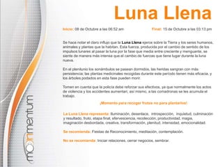 Luna Llena 
Inicio: 08 de Octubre a las 06:52 am Final: 15 de Octubre a las 03:13 pm 
Se hace notar el claro influjo que la Luna Llena ejerce sobre la Tierra y los seres humanos, 
animales y plantas que la habitan. Esta fuerza, producida por el cambio de sentido de los 
impulsos lunares al pasar la luna por la fase que media entre creciente y menguante, se 
siente de manera más intensa que el cambio de fuerzas que tiene lugar durante la luna 
nueva. 
En el plenilunio los sonámbulos se pasean dormidos, las heridas sangran con más 
persistencia; las plantas medicinales recogidas durante este período tienen más eficacia, y 
los árboles podados en esta fase pueden morir. 
Tomen en cuenta que la policía debe reforzar sus efectivos, ya que normalmente los actos 
de violencia y los accidentes aumentan; así mismo, a las comadronas se les acumula el 
trabajo. 
¡Momento para recoger frutos no para plantarlos! 
La Luna Llena representa: Iluminación, desenlace, introspección, inquietud, culminación 
y resultado, fruto, etapa final, efervescencia, recolección, productividad, magia, 
imaginación desbordada, creativa, transformación, plenitud, intensidad, emocionalidad. 
Se recomienda: Fiestas de Reconocimiento, meditación, contemplación. 
No se recomienda: Iniciar relaciones, cerrar negocios, sembrar. 
 