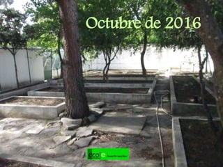 Octubre de 2016
 
