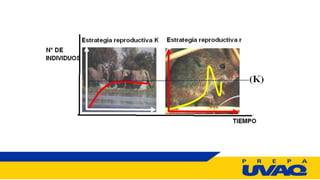 9_CRECIMIENTO_DE LA POBLACION.pptx BLOQUE 2