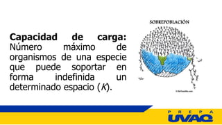Capacidad de carga:
Número máximo de
organismos de una especie
que puede soportar en
forma indefinida un
determinado espacio (K).
 