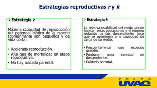 ⮚Estrategia r
Máxima capacidad de reproducción
del potencial biótico de la especie
(comúnmente son pequeños y de
vida corta).
• Acelerada reproducción.
• Alta tasa de mortalidad en etapa
reproductiva.
• No hay cuidado parental.
Estrategias reproductivas r y k
⮚Estrategia k
La relativa estabilidad del medio donde
habitan estas poblaciones y el número
reducido de sus descendientes hace
que se aproximen a la capacidad de
carga de su medio.
• Frecuentemente son especies
grandes.
• Producen poca cantidad de
descendientes.
• Cuidado parental.
 