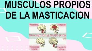 MUSCULOS PROPIOS
DE LA MASTICACION
 