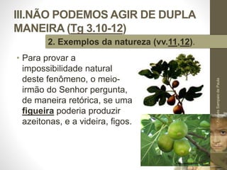 III.NÃO PODEMOS AGIR DE DUPLA 
MANEIRA (Tg 3.10-12) 
• Para provar a 
impossibilidade natural 
deste fenômeno, o meio-irmão 
do Senhor pergunta, 
de maneira retórica, se uma 
figueira poderia produzir 
azeitonas, e a videira, figos. 
Pr. Moisés Sampaio de Paula 
47 
2. Exemplos da natureza (vv.11,12). 
 