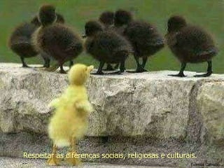 Evanilda Carvalho Respeitar as diferenças sociais, religiosas e culturais. 