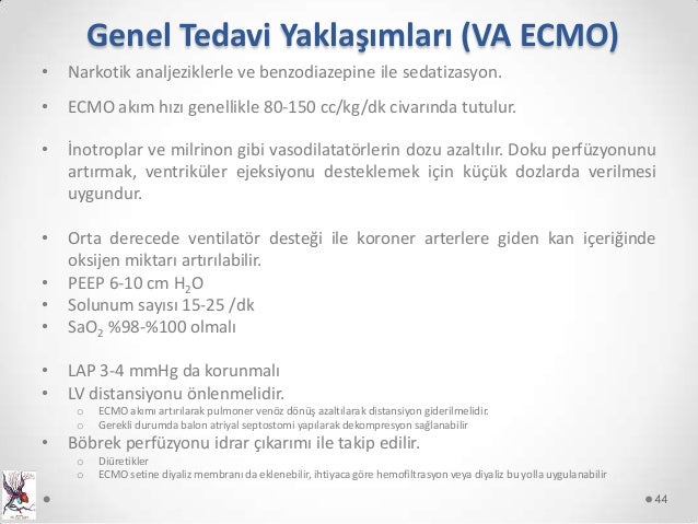 Kendi elinizle akrilik banyo montajı: tüm aile için fayda 67