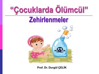 Prof. Dr. Durgül ÇELİK
 