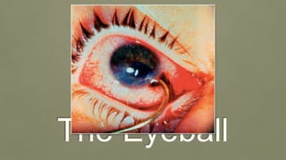 The Eyeball
 