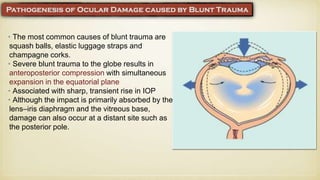 • The most common causes of blunt trauma are
squash balls, elastic luggage straps and
champagne corks.
• Severe blunt trauma to the globe results in
anteroposterior compression with simultaneous
expansion in the equatorial plane
• Associated with sharp, transient rise in IOP
• Although the impact is primarily absorbed by the
lens–iris diaphragm and the vitreous base,
damage can also occur at a distant site such as
the posterior pole.
 