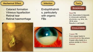 Cataract formation
Vitreous liquefaction
Retinal tear
Retinal haemorrhage
Endophthalmiti
s, particularly
with organic
FBs
Steel FB
Iron dissociates & deposits
in intraocular epithelial
structures, e.g. lens, iris,
CB & reina
Results in cell death
Copper FB
Pure copper leads to
endophthalmitis like picture
Copper alloy leads to a
picture similar to Wilson
disease
 