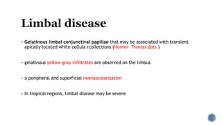  Gelatinous limbal conjunctival papillae that may be associated with transient
apically located white cellula rcollections (Horner– Trantas dots )
 gelatinous yellow-gray infiltrates are observed on the limbus
 a peripheral and superficial neovascularization
 In tropical regions, limbal disease may be severe
 