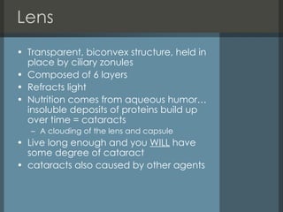 Lens Transparent, biconvex structure, held in place by ciliary zonules  Composed of 6 layers Refracts light  Nutrition comes from aqueous humor…insoluble deposits of proteins build up  over time = cataracts A clouding of the lens and capsule  Live long enough and you  WILL  have some degree of cataract cataracts also caused by other agents  