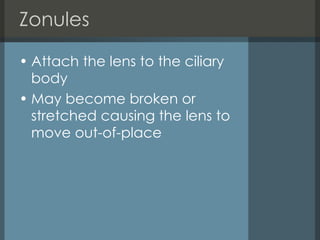 Zonules  Attach the lens to the ciliary body May become broken or stretched causing the lens to move out-of-place 