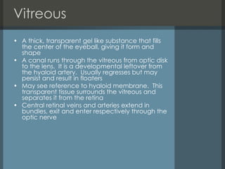 Vitreous  A thick, transparent gel like substance that fills the center of the eyeball, giving it form and shape A canal runs through the vitreous from optic disk to the lens.  It is a developmental leftover from the hyaloid artery.  Usually regresses but may persist and result in floaters  May see reference to hyaloid membrane.  This transparent tissue surrounds the vitreous and separates it from the retina Central retinal veins and arteries extend in bundles, exit and enter respectively through the optic nerve 