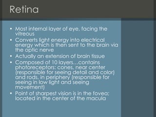 Retina  Most internal layer of eye, facing the vitreous Converts light energy into electrical energy which is then sent to the brain via the optic nerve Actually an extension of brain tissue  Composed of 10 layers…contains photoreceptors: cones, near center (responsible for seeing detail and color) and rods, in periphery (responsible for seeing in low light and seeing movement) Point of sharpest vision is in the fovea; located in the center of the macula 