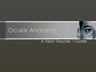 Ocular Anatomy  A Vision Teacher ‘s Guide  
