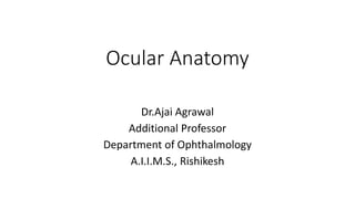 Ocular Anatomy
Dr.Ajai Agrawal
Additional Professor
Department of Ophthalmology
A.I.I.M.S., Rishikesh
 