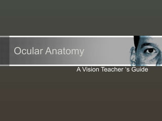 Ocular Anatomy
A Vision Teacher ‘s Guide
 