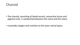 Choroid
• The choroid, consisting of blood vessels, connective tissue and
pigment cells, is sandwiched between the retina and the sclera.
• It provides oxygen and nutrition to the outer retinal layers.
 