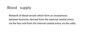 Blood supply
Network of blood vessels which form an anastomosis
between branches derived from the external carotid artery
via the face and from the internal carotid artery via the orbit.
 