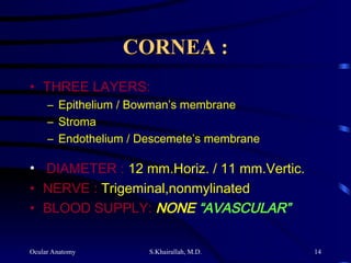Ocular Anatomy S.Khairallah, M.D. 14
CORNEA :
CORNEA :
• THREE LAYERS:
– Epithelium / Bowman’s membrane
– Stroma
– Endothelium / Descemete’s membrane
• DIAMETER : 12 mm.Horiz. / 11 mm.Vertic.
• NERVE : Trigeminal,nonmylinated
• BLOOD SUPPLY: NONE “AVASCULAR”
 