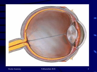 Ocular Anatomy S.Khairallah, M.D. 2
 