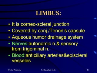 Ocular Anatomy S.Khairallah, M.D. 26
LIMBUS:
LIMBUS:
• It is corneo-scleral junction
• Covered by conj./Tenon’s capsule
• Aqueous humor drainage system
• Nerves:autonomic n.& sensory
from trigeminal n.
• Blood:ant.ciliary arteries&episcleral
vesseles
 