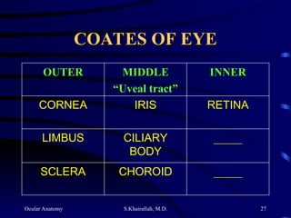 Ocular Anatomy S.Khairallah, M.D. 27
COATES OF EYE
COATES OF EYE
OUTER
OUTER MIDDLE
MIDDLE
“Uveal tract”
INNER
INNER
CORNEA IRIS RETINA
LIMBUS CILIARY
BODY
_____
SCLERA CHOROID _____
 