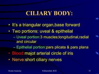 Ocular Anatomy S.Khairallah, M.D. 33
CILIARY BODY:
CILIARY BODY:
• It’s a triangular organ,base forward
• Two portions: uveal & epithelial
– Uveal portion:3 muscles;longitudinal,radial
and circular
– Epithelial portion:pars plicata & pars plana
• Blood:majot arterial circle of iris
• Nerve:short ciliary nerves
 
