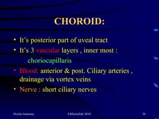 Ocular Anatomy S.Khairallah, M.D. 36
CHOROID:
CHOROID:
• It’s posterior part of uveal tract
• It’s 3 vascular layers , inner most :
choriocapillaris
• Blood: anterior & post. Ciliary arteries ,
drainage via vortex veins
• Nerve : short ciliary nerves
 