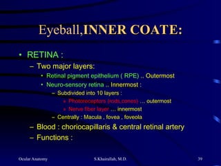 Ocular Anatomy S.Khairallah, M.D. 39
Eyeball,INNER COATE:
INNER COATE:
• RETINA :
– Two major layers:
• Retinal pigment epithelium ( RPE) .. Outermost
• Neuro-sensory retina .. Innermost :
– Subdivided into 10 layers :
» Photoreceptors (rods,cones) … outermost
» Nerve fiber layer … innermost
– Centrally : Macula , fovea , foveola
– Blood : choriocapillaris & central retinal artery
– Functions :
 