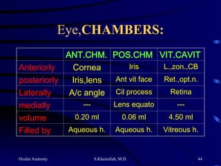 Ocular Anatomy S.Khairallah, M.D. 44
Eye,CHAMBERS:
CHAMBERS:
ANT.CHM. POS.CHM VIT.CAVIT
Anteriorly Cornea Iris L.,zon.,CB
posteriorly Iris,lens Ant vit face Ret.,opt.n.
Laterally A/c angle Cil process Retina
medially --- Lens equato ---
volume 0.20 ml 0.06 ml 4.50 ml
Filled by Aqueous h. Aqueous h. Vitreous h.
 