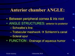 Ocular Anatomy S.Khairallah, M.D. 46
Anterior chamber ANGLE:
Anterior chamber ANGLE:
• Between peripheral cornea & iris root
• ANGLE STRUCTURES: anterior to posterior
– Schwalbe’s line
– Trabecular meshwork  Schlemm’s canal
– Scleral spur
• FUNCTION : Drainage of aqueous humor
 