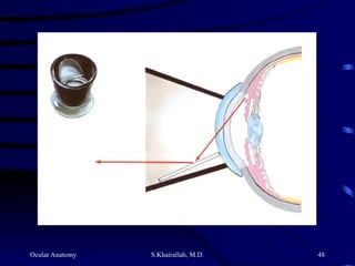 Ocular Anatomy S.Khairallah, M.D. 48
 