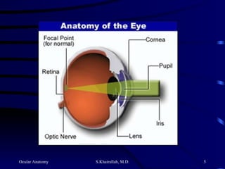 Ocular Anatomy S.Khairallah, M.D. 5
 