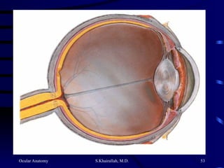 Ocular Anatomy S.Khairallah, M.D. 53
 
