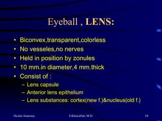 Ocular Anatomy S.Khairallah, M.D. 54
Eyeball , LENS:
LENS:
• Biconvex,transparent,colorless
• No vesseles,no nerves
• Held in position by zonules
• 10 mm.in diameter,4 mm.thick
• Consist of :
– Lens capsule
– Anterior lens epithelium
– Lens substances: cortex(new f.)&nucleus(old f.)
 