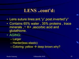 Ocular Anatomy S.Khairallah, M.D. 55
LENS ..cont’d:
LENS ..cont’d:
• Lens suture lines:ant.”y”,post.inverted”y”
• Contains 65% water , 35% proteins , trace
minerals ,↑ K+ ,ascorbic acid and
glutathione.
• AGING:
– Larger
– Harder(less elastic)
– Coloring: yellow  deep brown.why?
 
