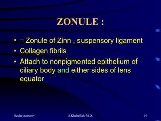 Ocular Anatomy S.Khairallah, M.D. 56
ZONULE :
ZONULE :
• = Zonule of Zinn , suspensory ligament
• Collagen fibrils
• Attach to nonpigmented epithelium of
ciliary body and either sides of lens
equator
 