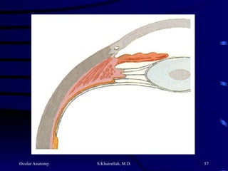 Ocular Anatomy S.Khairallah, M.D. 57
 