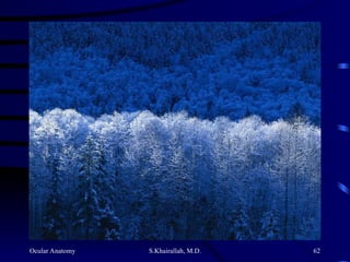 Ocular Anatomy S.Khairallah, M.D. 62
 