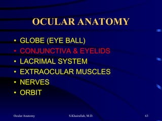 Ocular Anatomy S.Khairallah, M.D. 63
OCULAR ANATOMY
OCULAR ANATOMY
• GLOBE (EYE BALL)
• CONJUNCTIVA & EYELIDS
• LACRIMAL SYSTEM
• EXTRAOCULAR MUSCLES
• NERVES
• ORBIT
 