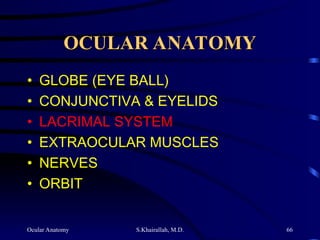 Ocular Anatomy S.Khairallah, M.D. 66
OCULAR ANATOMY
OCULAR ANATOMY
• GLOBE (EYE BALL)
• CONJUNCTIVA & EYELIDS
• LACRIMAL SYSTEM
• EXTRAOCULAR MUSCLES
• NERVES
• ORBIT
 