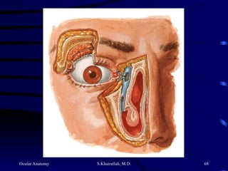 Ocular Anatomy S.Khairallah, M.D. 68
 