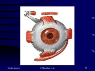 Ocular Anatomy S.Khairallah, M.D. 70
 