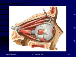 Ocular Anatomy S.Khairallah, M.D. 72
 
